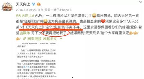 娱乐圈爆料421页内容,揭秘明星幕后真相与情感纠葛  第1张